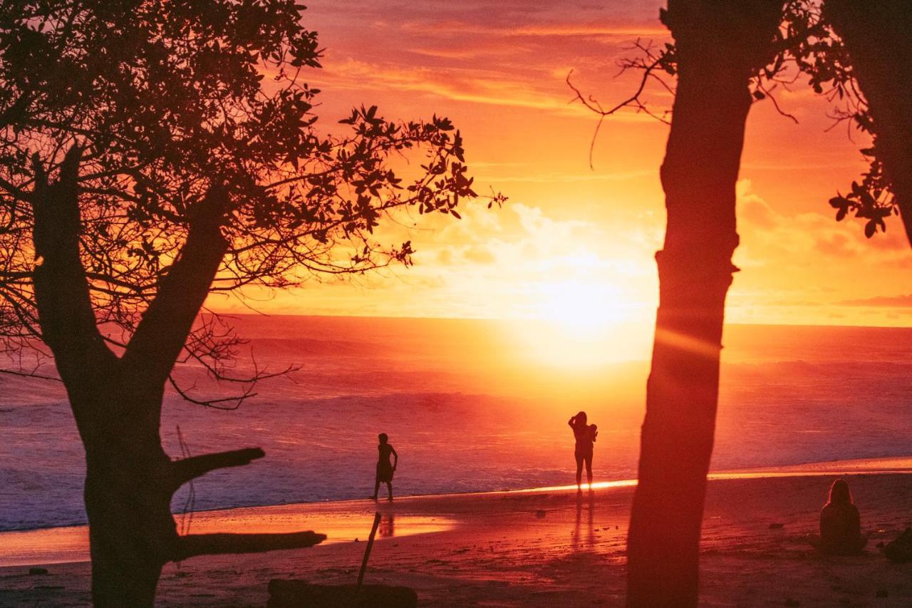 ホテル Blue Surf Sanctuary Playa Santa Teresa  エクステリア 写真